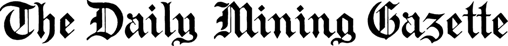 website logo